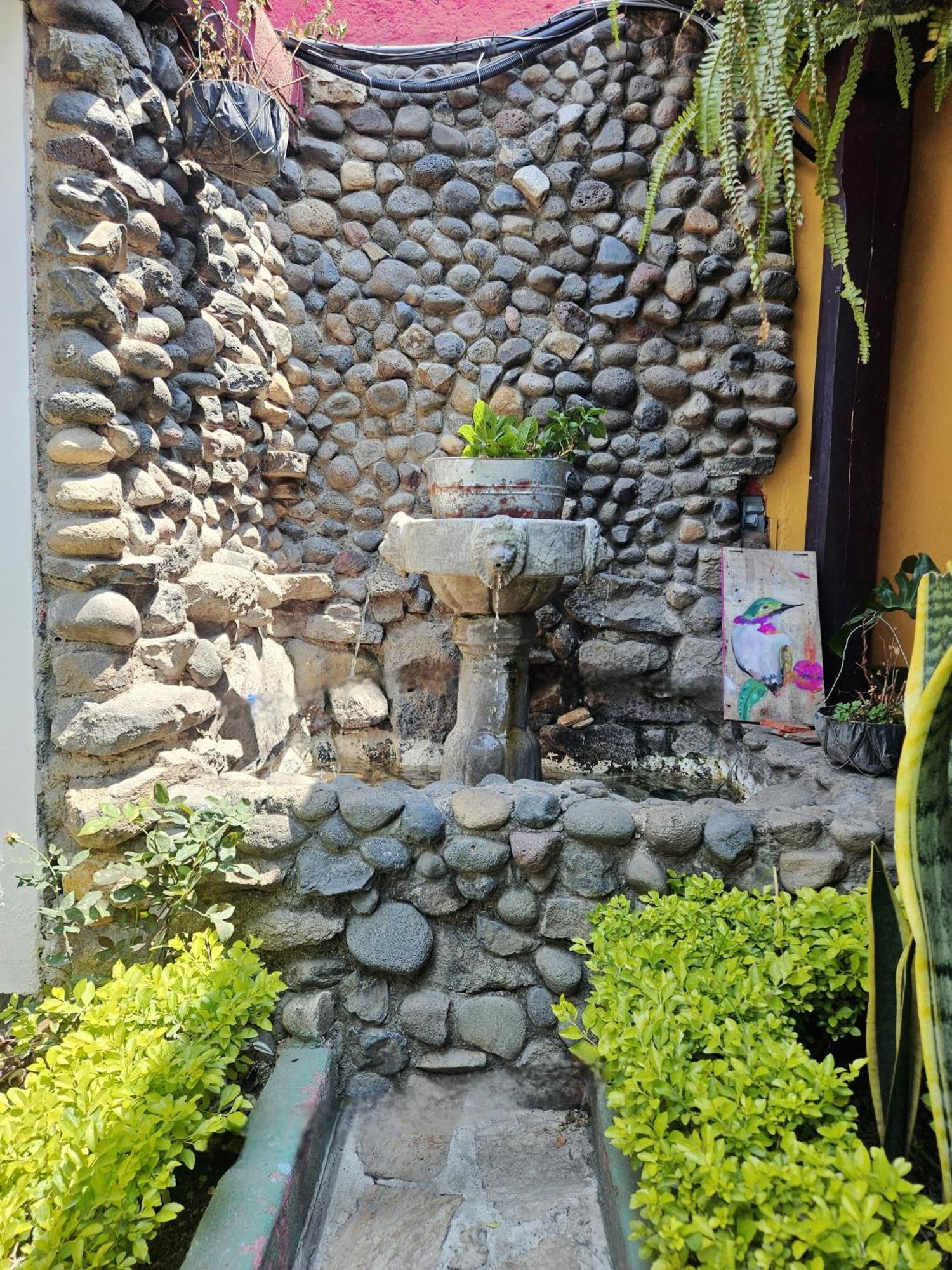 Casa Nikte Hotel 안티구아 과테말라 외부 사진